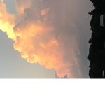 PandasRuleBuildz (Pllama Squad)