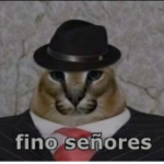 FAMÍLIA NINJAX