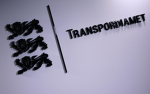 Tartu-Tallinn city roleplay Transpordiamet