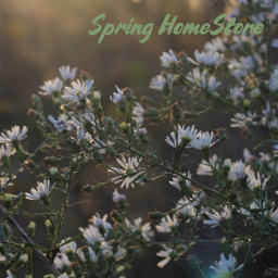 Avia's Angelsss :D Spring HomeStore