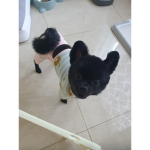 초보 ### 건똥TV 그룹