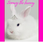 Snowey the bunny