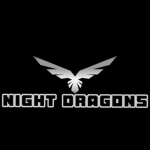 Night Dragons1