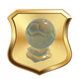 Player Of The Season Award - Touch Football