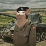 Popcat military