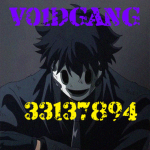 XVoidGangX
