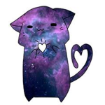 Космические котики