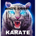 White Tigers karate dojo