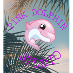 Pink Dolphin Studio