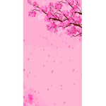 Aesthetic pink vibes! :)