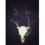 Cult of the gold skull
