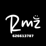 RMZ 害怕