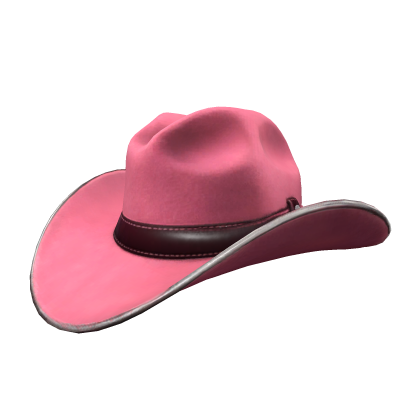 Pink and Burgundy Cowboy Hat