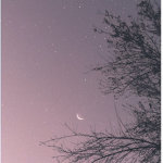 ʚ ⋆starlight⋆ ɞ