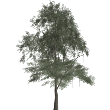 Animated Jungle Tree