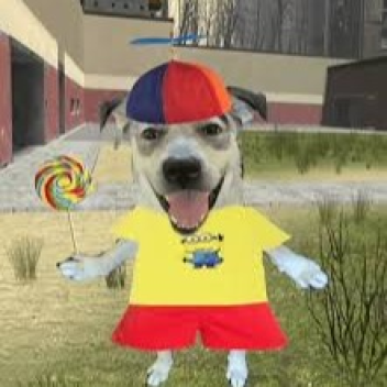 Propeller Hat Dogs Death Run
