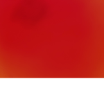 Dog studios group