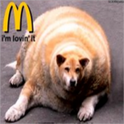McDonalds Dog! Roblox decal
