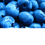BlueBerryCool