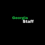 Georgia State Role play Staff Group