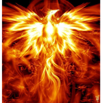 [ Phoenix Corporations ]