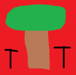 Timber Tech innovators