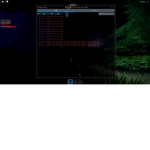 Hacker Pog