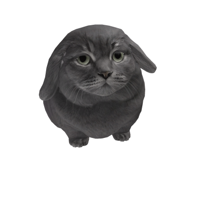 BunnyCat Cabbit