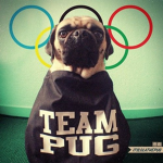Team Rainbow Pug
