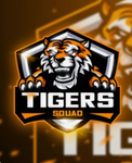 Tigers Gaming Squad