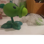pog fish are nice lolol