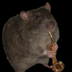 Rat's Senpai