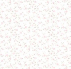 ・‥…━━━━━━━♬━━━━━━━…‥・