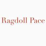 Ragdoll Pace Fans