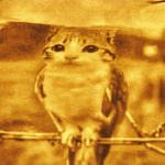 golden_griffin_studios