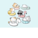 We love cats so much!!!