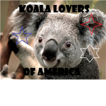 Koala Lovers of America