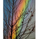 Grupo Do Arco Iris