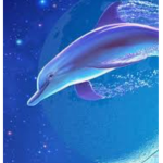 Ďolphin's Ăre Ămazing!~