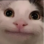 CATxz
