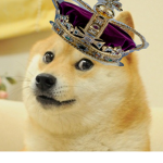 D0GE KINGDOM!