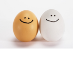 egg guys