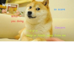 Doge Grouppppp