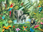 Andre's Jungle Adventure