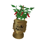 [⭐ EXCLUSIVE] Wearable Plant Pots - Chilli Padi