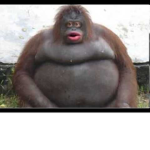 Monke-