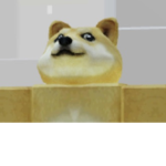 DogeUnIted