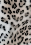 »aestheticXbutterflys«