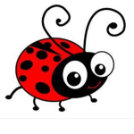 The ladybugs crew