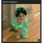 nut nut 1234